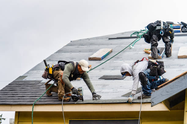 Professional Gutter Installation technician working in Wellington, NV